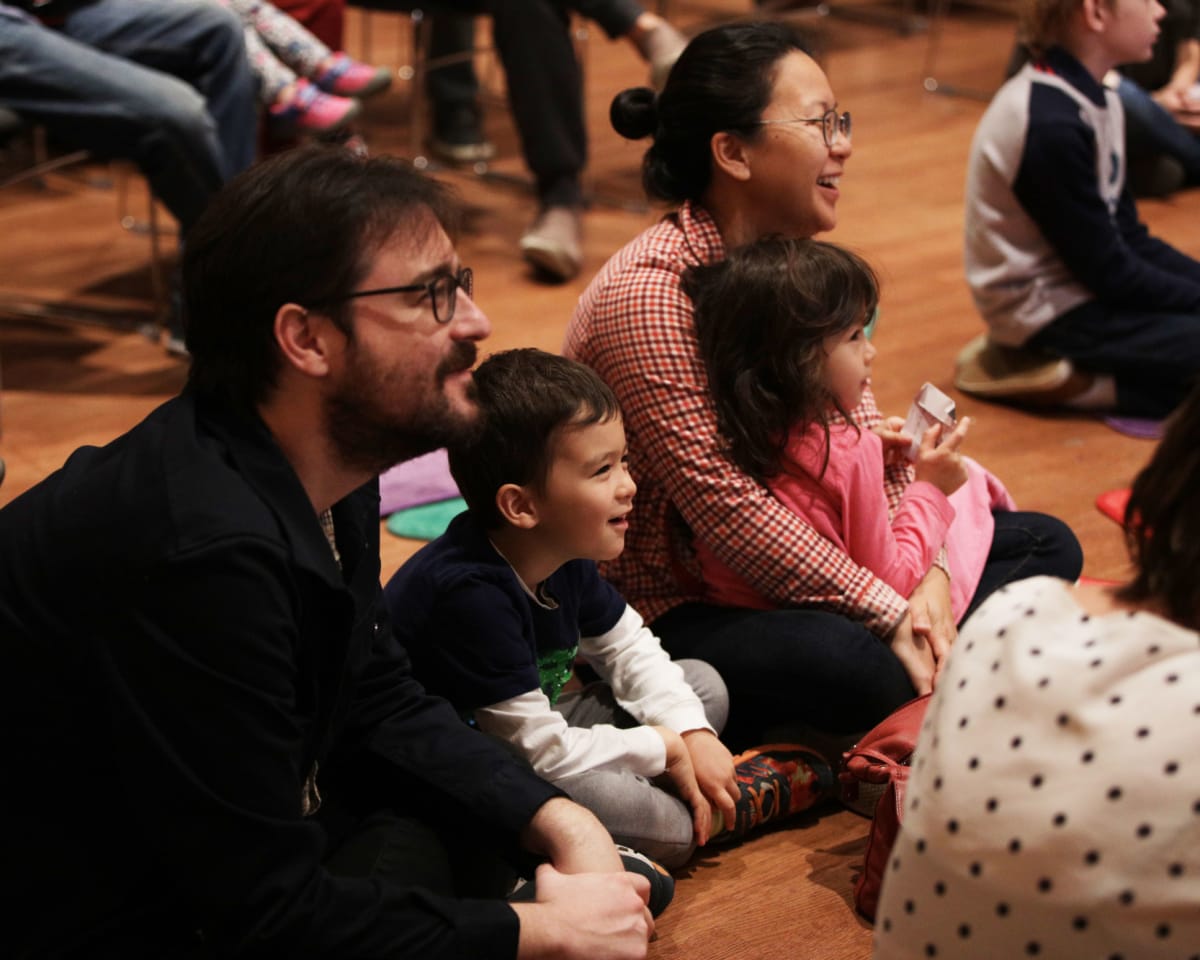 Musical Instrument Families The Chamber Music Society Of Lincoln Center